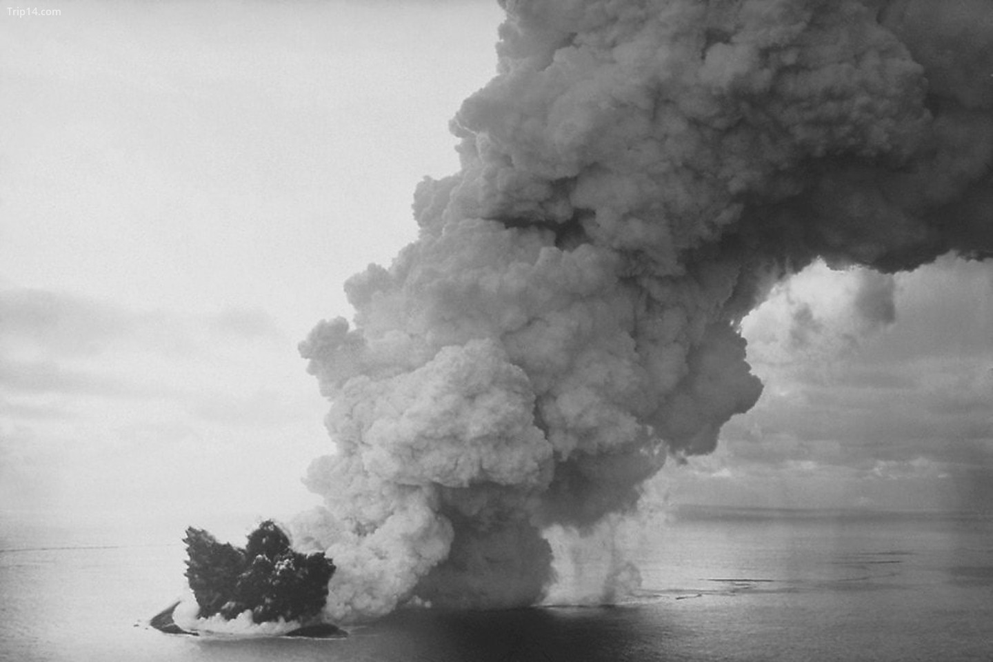  Vụ phun trào núi lửa hình thành đảo Surtsey năm 1963   |   