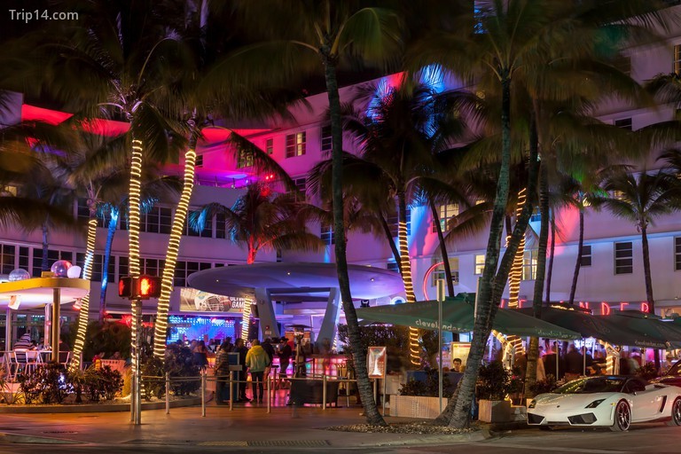 Khách sạn và câu lạc bộ đêm Clevelander, South Beach Miami. - Trip14.com