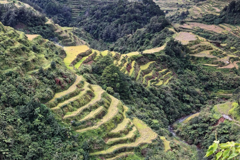 Cụm làng Banaue - một phần của Ruộng bậc thang của Cordillera Philippines - Trip14.com