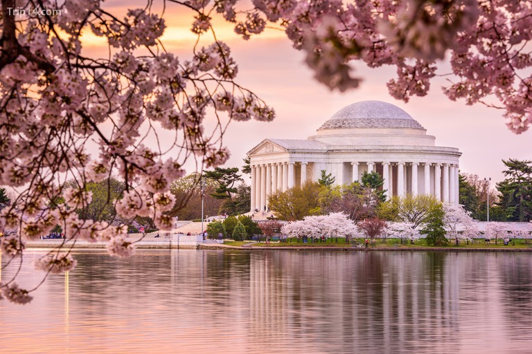 Lưu vực thủy triều của Washington DC và Đài tưởng niệm Thomas Jefferson 