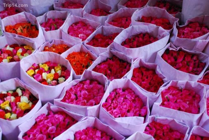 Chợ hoa | © Irene2005 / Flickr - Trip14.com
