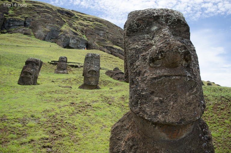 Moai đại diện cho cái gì? - Trip14.com