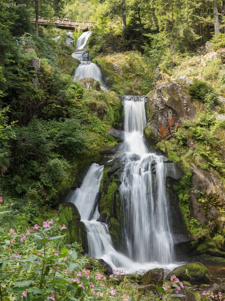 Triberg, Đức - Trip14.com