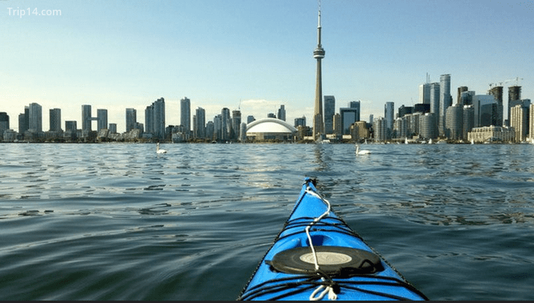 Chèo thuyền kayak quanh Quần đảo Toronto 