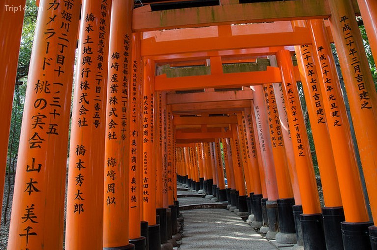 Cổng đền Fushimi Inari Taisha có ghi tên của Nhà tài trợ