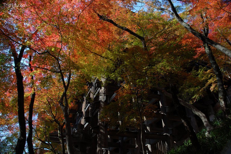 Sân đền Kiyomizu-dera - Trip14.com