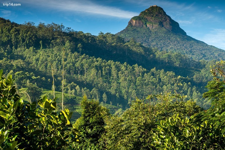 Đỉnh Adam vĩ đại ở Sri Lanka vào sáng sớm - Trip14.com