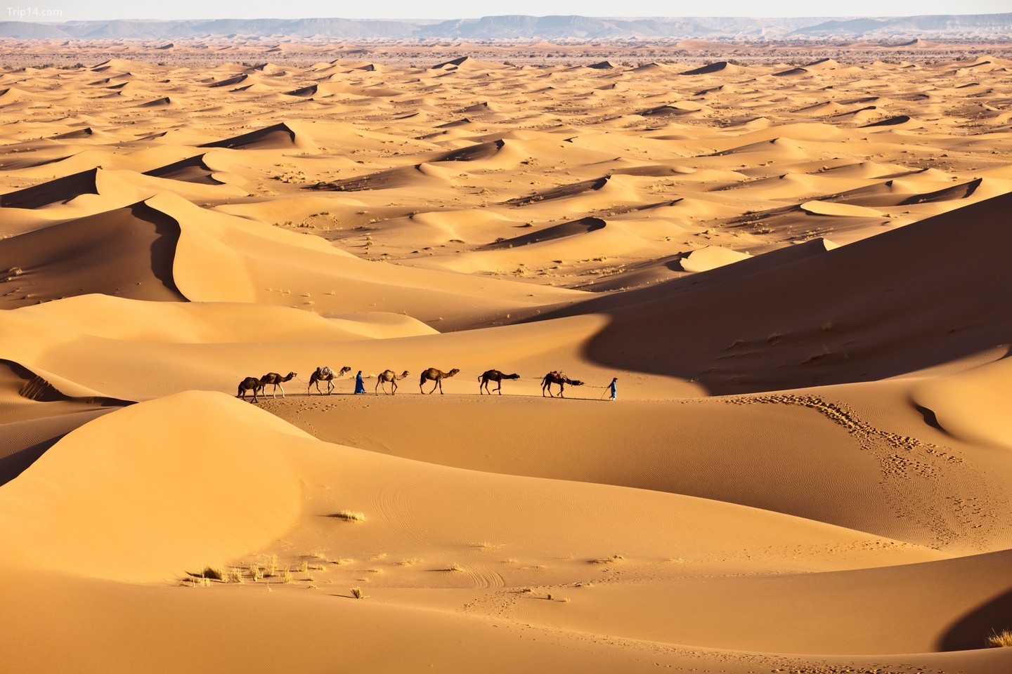 Dễ dàng đến Sahara