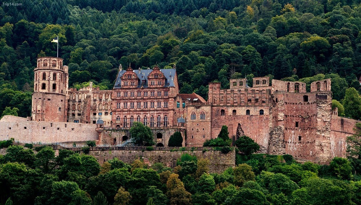 Lâu đài Heidelberg