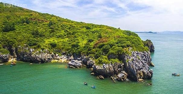 biển Quỳnh, Nghệ An