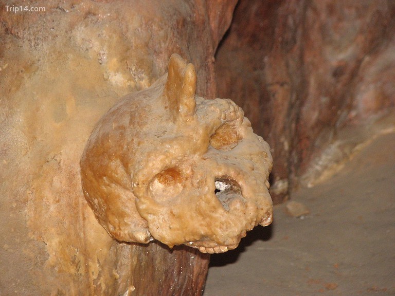 Hộp sọ Petralona được bao phủ bởi thạch nhũ 