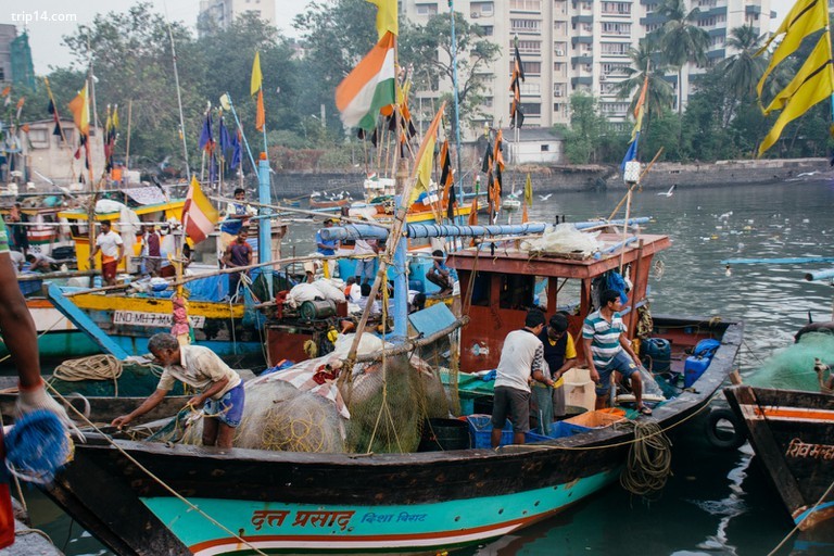 Sassoon Dock, Mumbai, Ấn Độ - Trip14.com