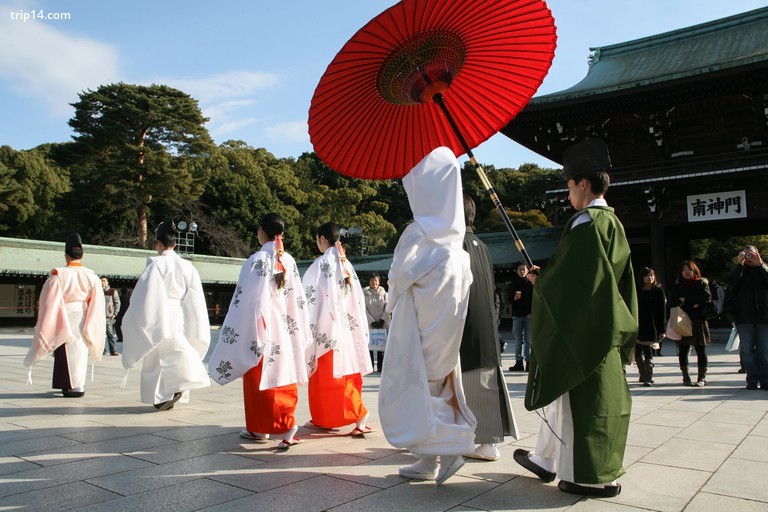 Điểm dừng chân đầu tiên trong chuyến tham quan này là đền Meiji Jingū, nơi diễn ra nhiều đám cưới Shinto truyền thống của Nhật Bản - Trip14.com
