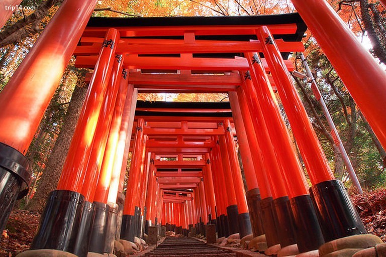 Cổng đền Fushimi Inari Taisha - Trip14.com