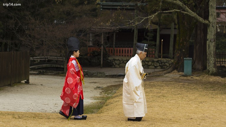Linh mục và nữ tu sĩ Shinto tại đền Kamigamo Jinja - Trip14.com