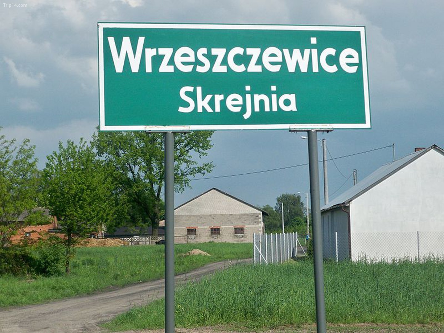 Wrzeszczewice Skrejnia