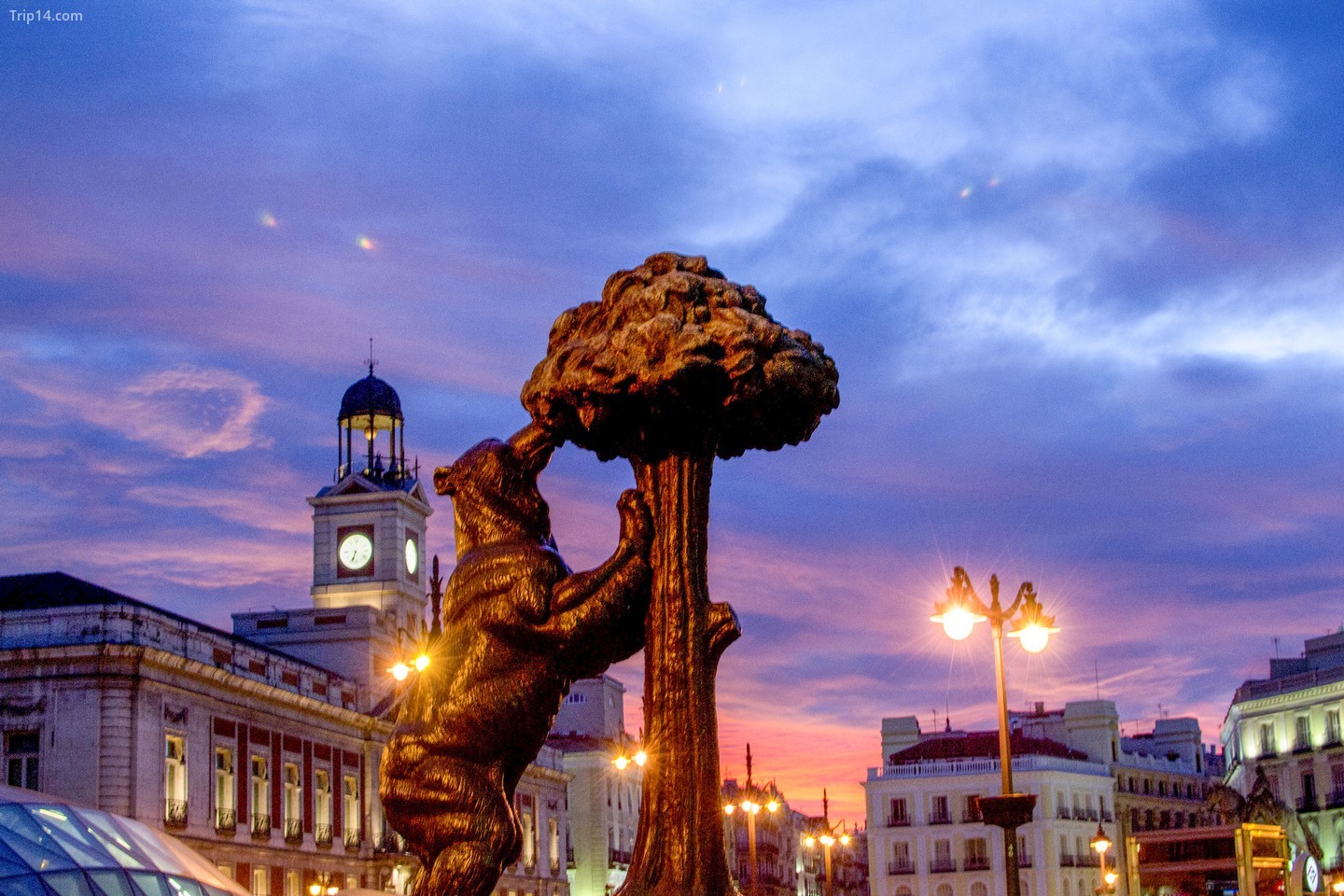 Một bức tượng về cây và gấu Madroño ở Puerta del Sol của Madrid
