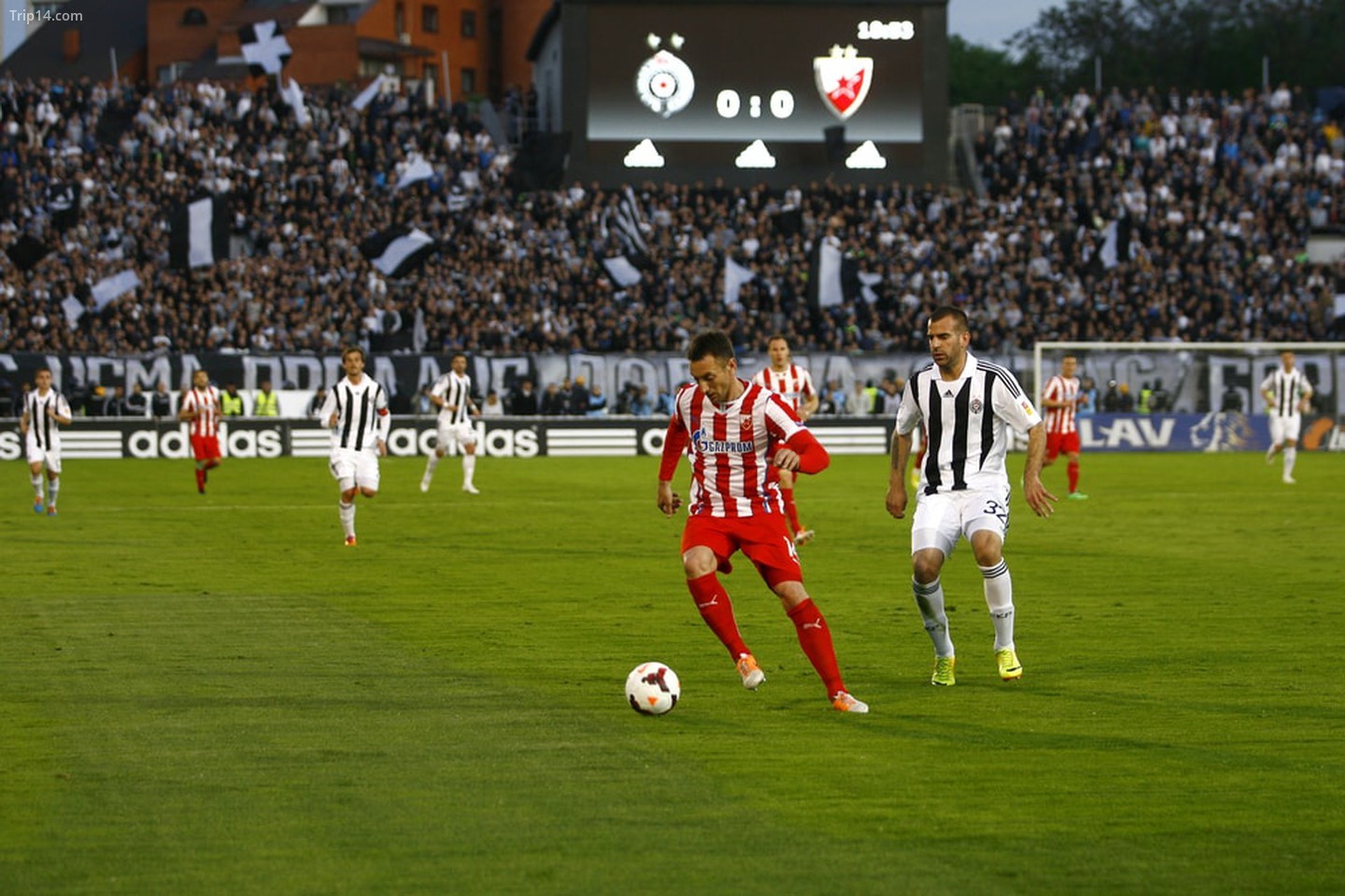 Trận đấu giữa Red Star và Partizan Belgrade