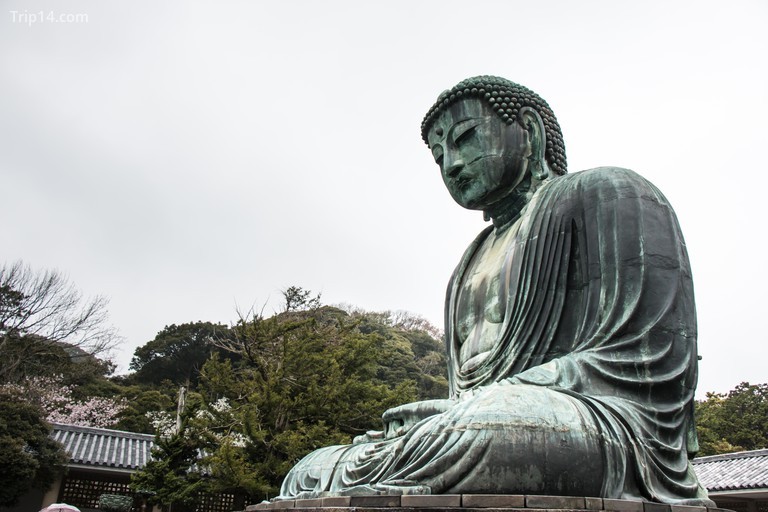 Phật Kamakura, Đền Kotokuin, Kamakura, Kanagawa, Nhật Bản - Trip14.com