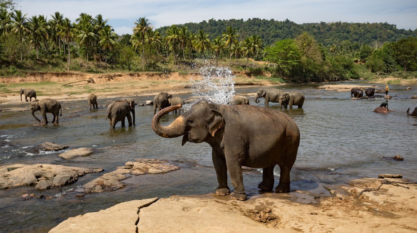 11 điểm đẹp nhất ở Sri Lanka