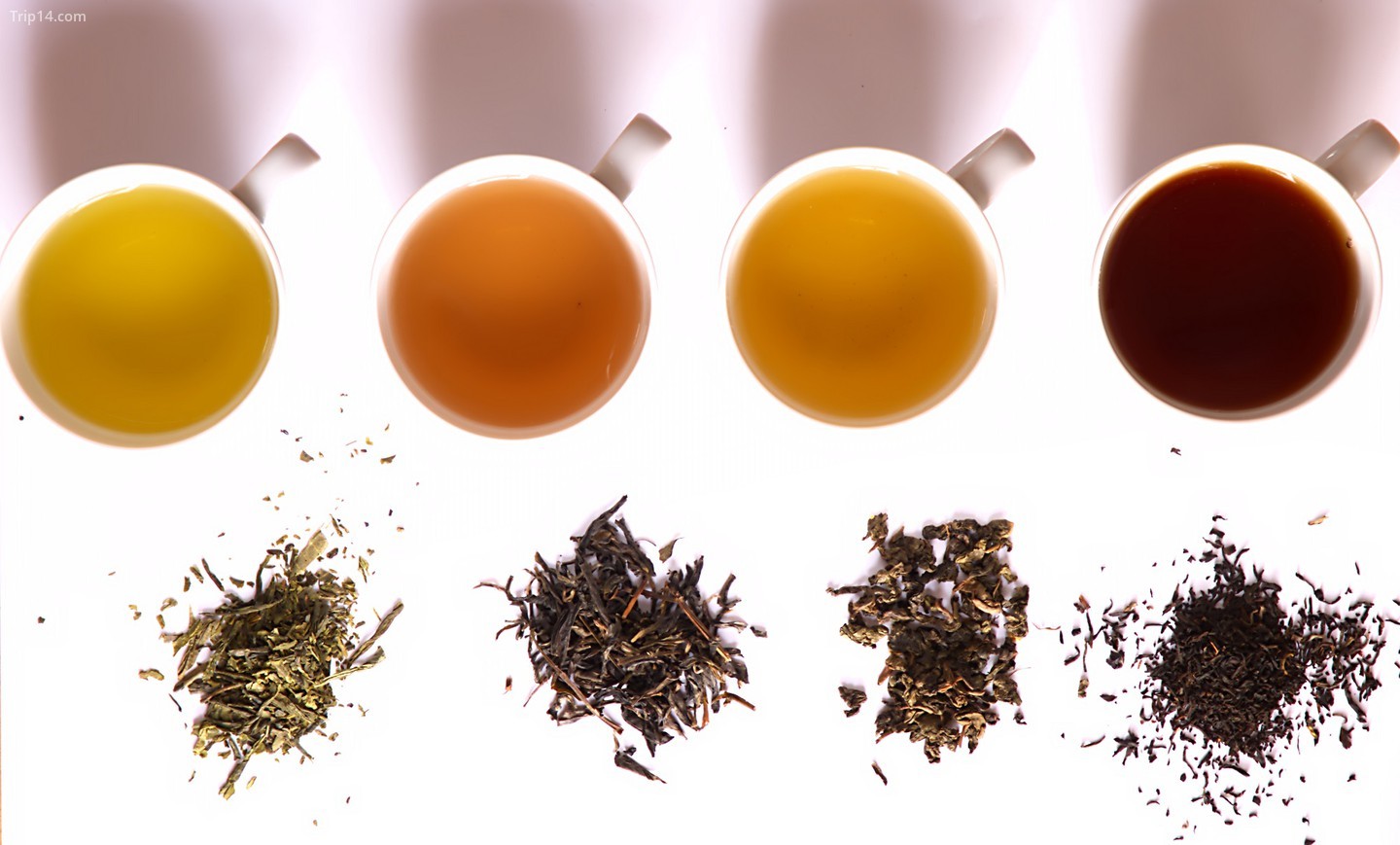 Các loại trà khác nhau 