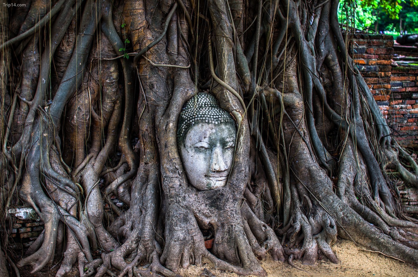 Đầu Phật của Wat Mahathat