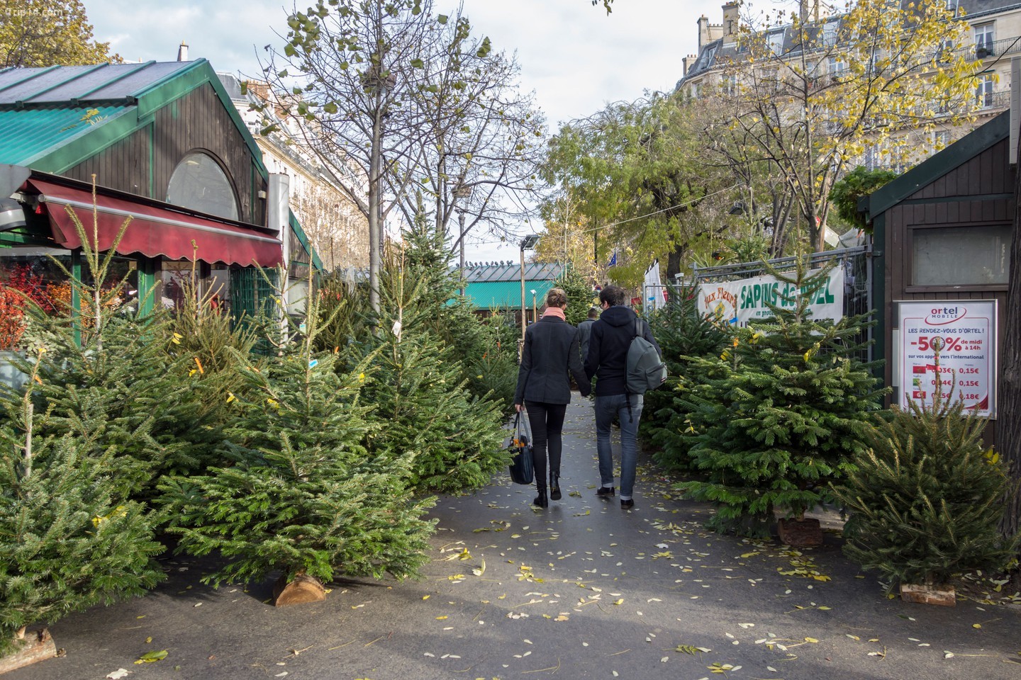 Chợ cây thông Noel ở Place des Ternes, Paris