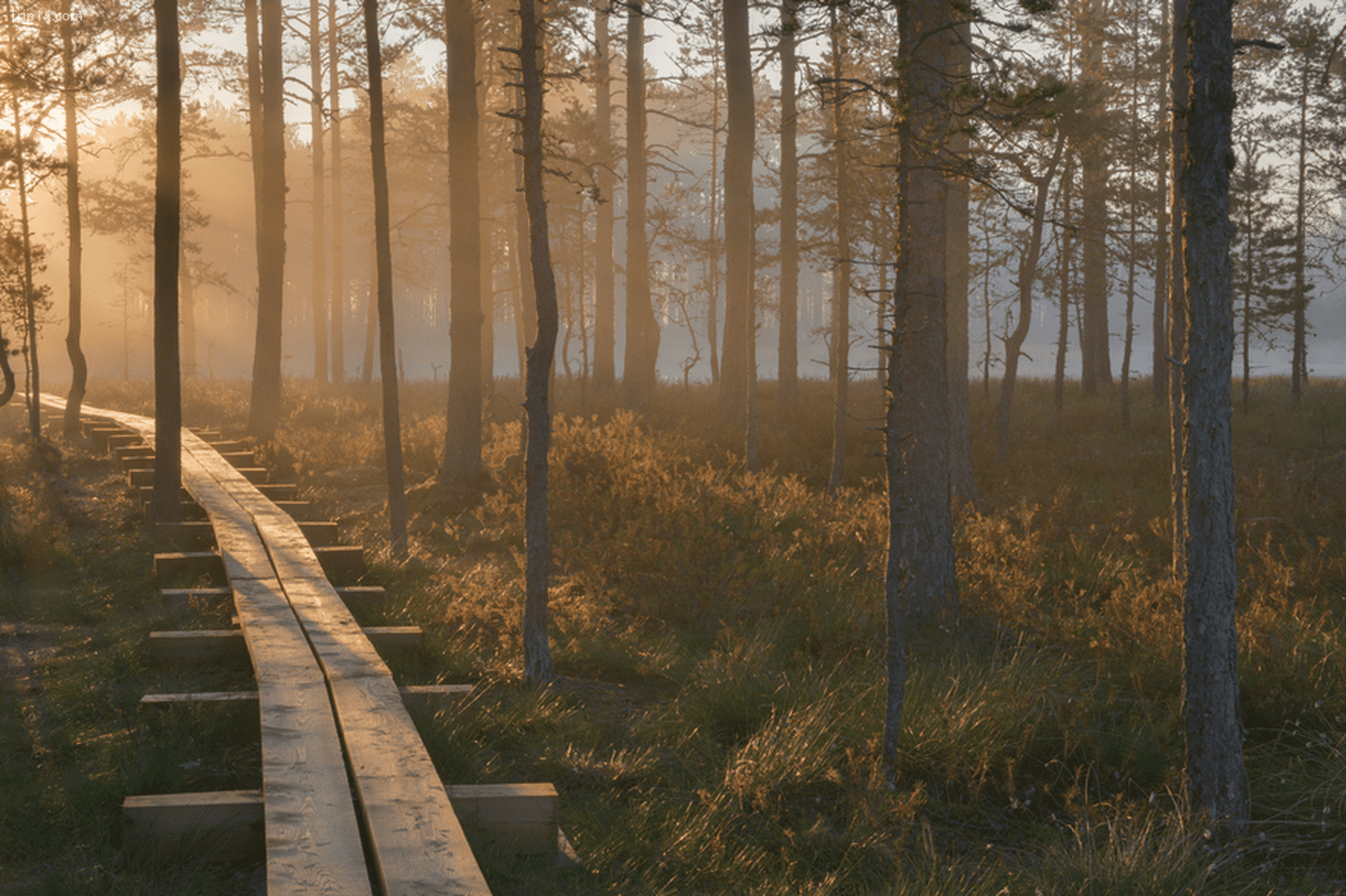 Những hình ảnh tuyệt đẹp về các Công viên quốc gia Estonia - Ảnh 1