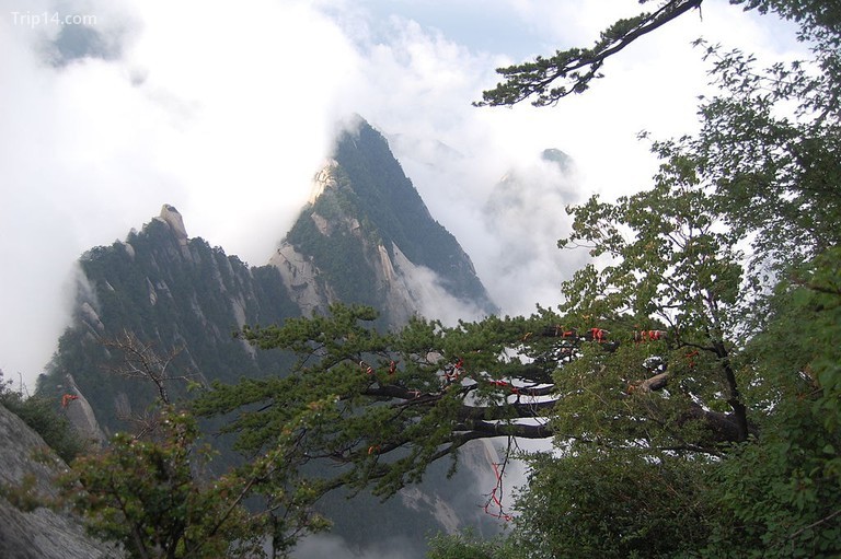 Đỉnh núi Huashan trong sương mù © Darren On The Road / WikiCommons