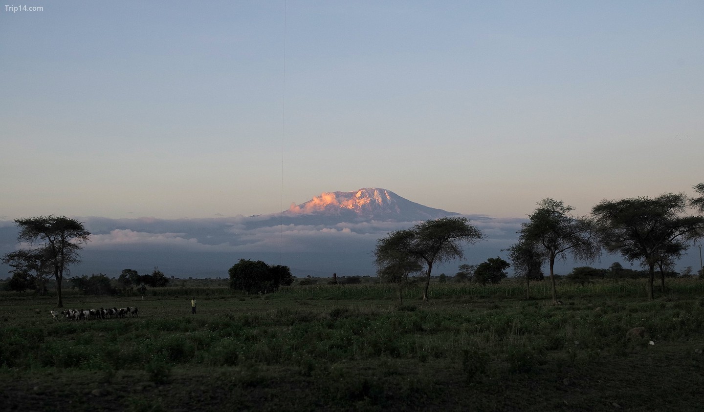  Núi Kilimanjaro lúc hoàng hôn   |   