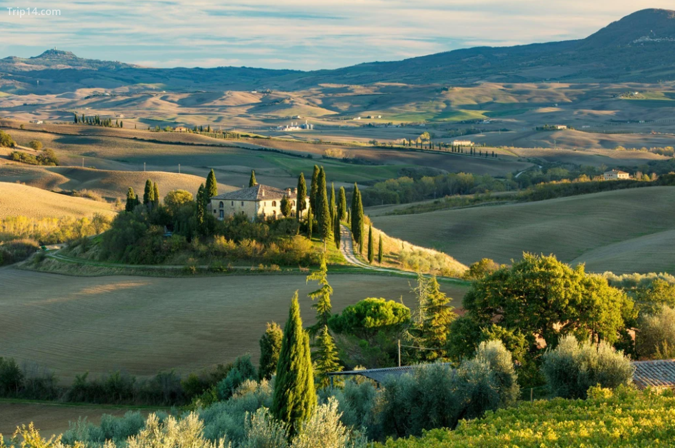 Những lý do hàng đầu mà bạn nên đến Siena, Ý - Ảnh 8