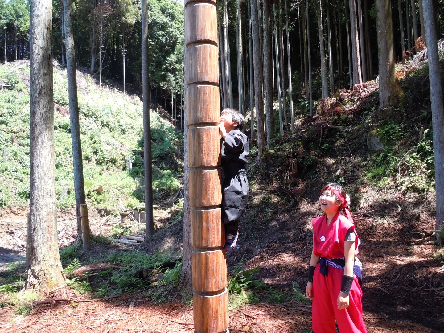 Gia đình huấn luyện trong Rừng Ninja ở Nabri, Mie