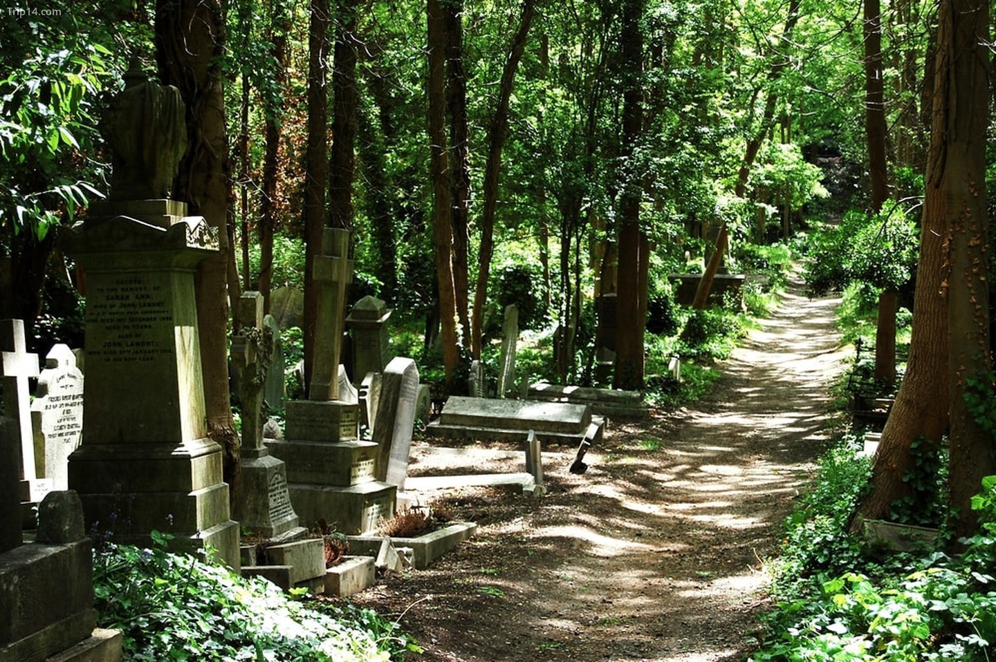 Nghĩa trang Highgate, London, Vương quốc Anh