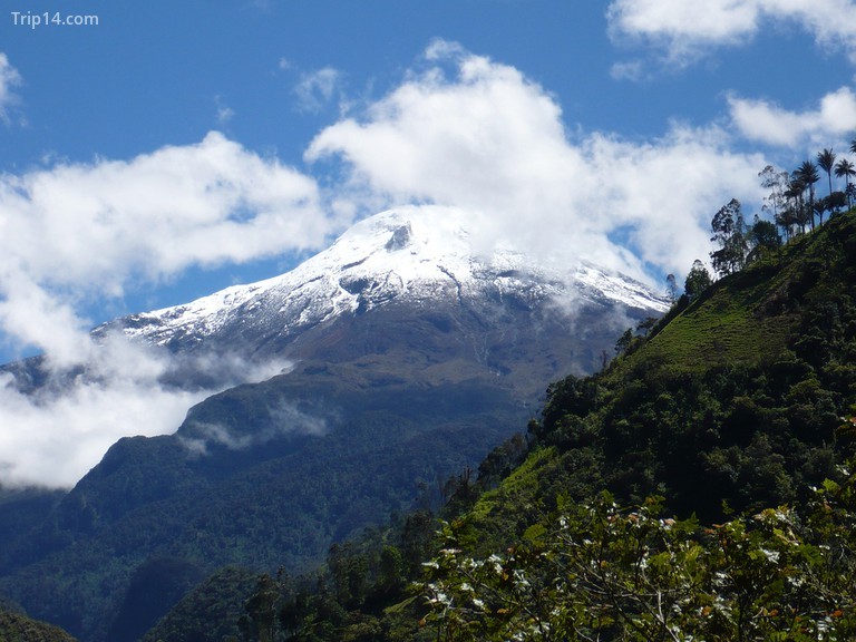 Từ núi đến rừng mưa nhiệt đới, Colombia rất phong phú về đa dạng sinh học© Edgar Jiménez / Flickr - Trip14.com