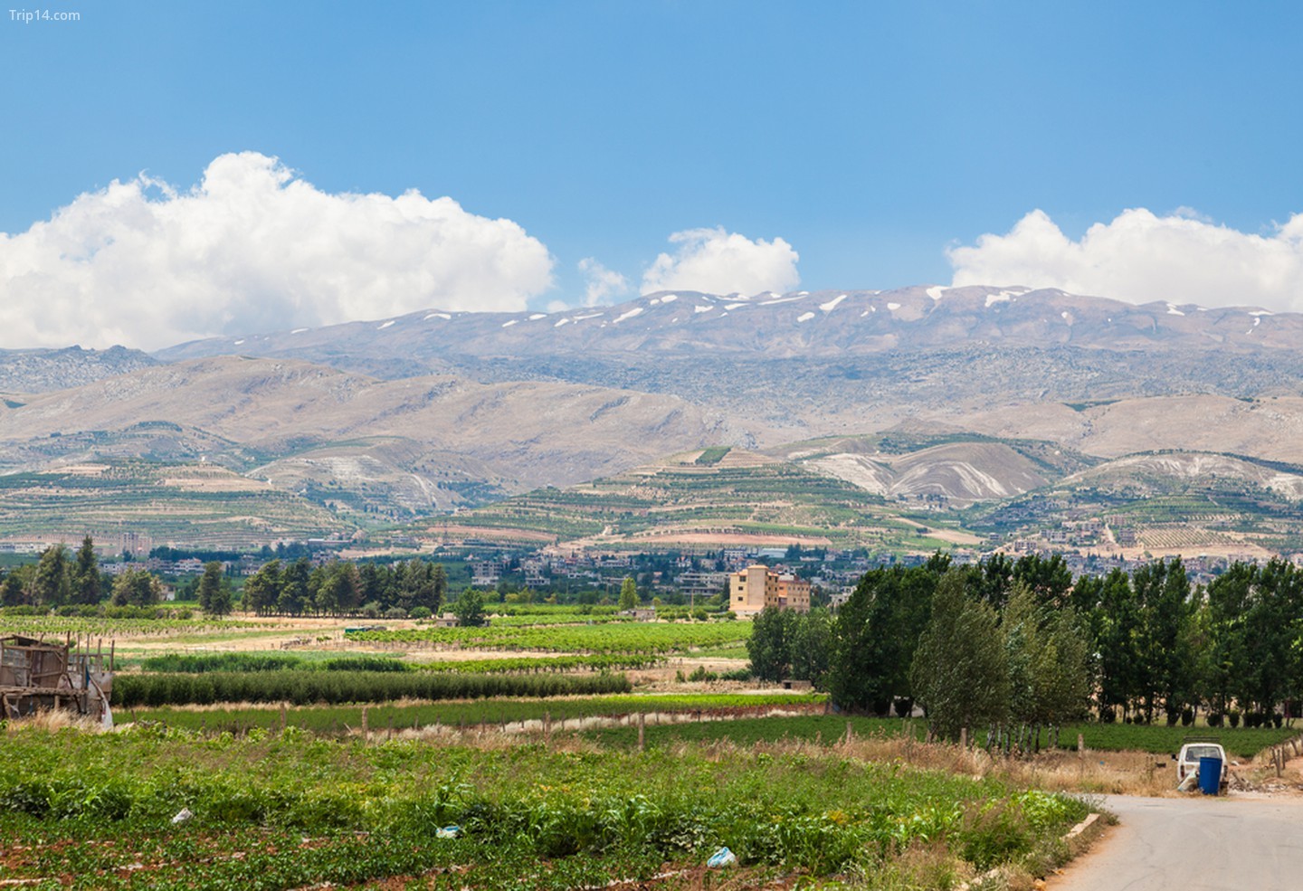 Thung lũng Beqaa (Bekaa), Baalbeck, Lebanon 