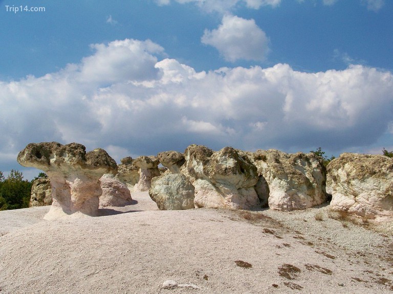 Nấm đá ở Bulgaria