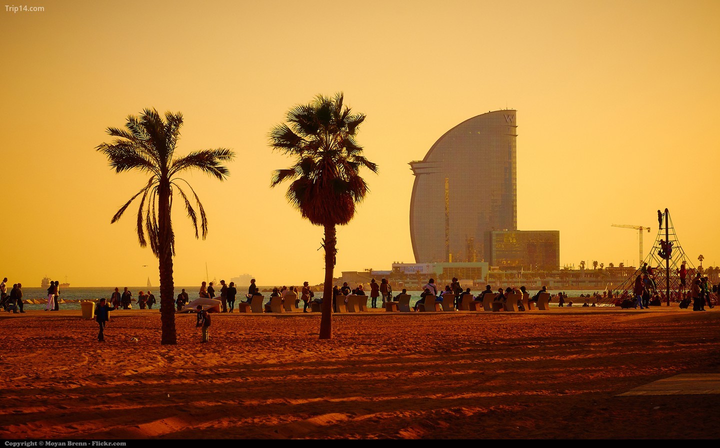 Lonely Planet: Barcelona Guide của Damien Simonis