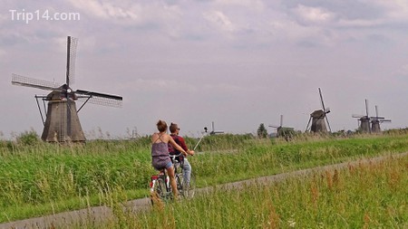 Cách đến Kinderdijk - Trip14.com
