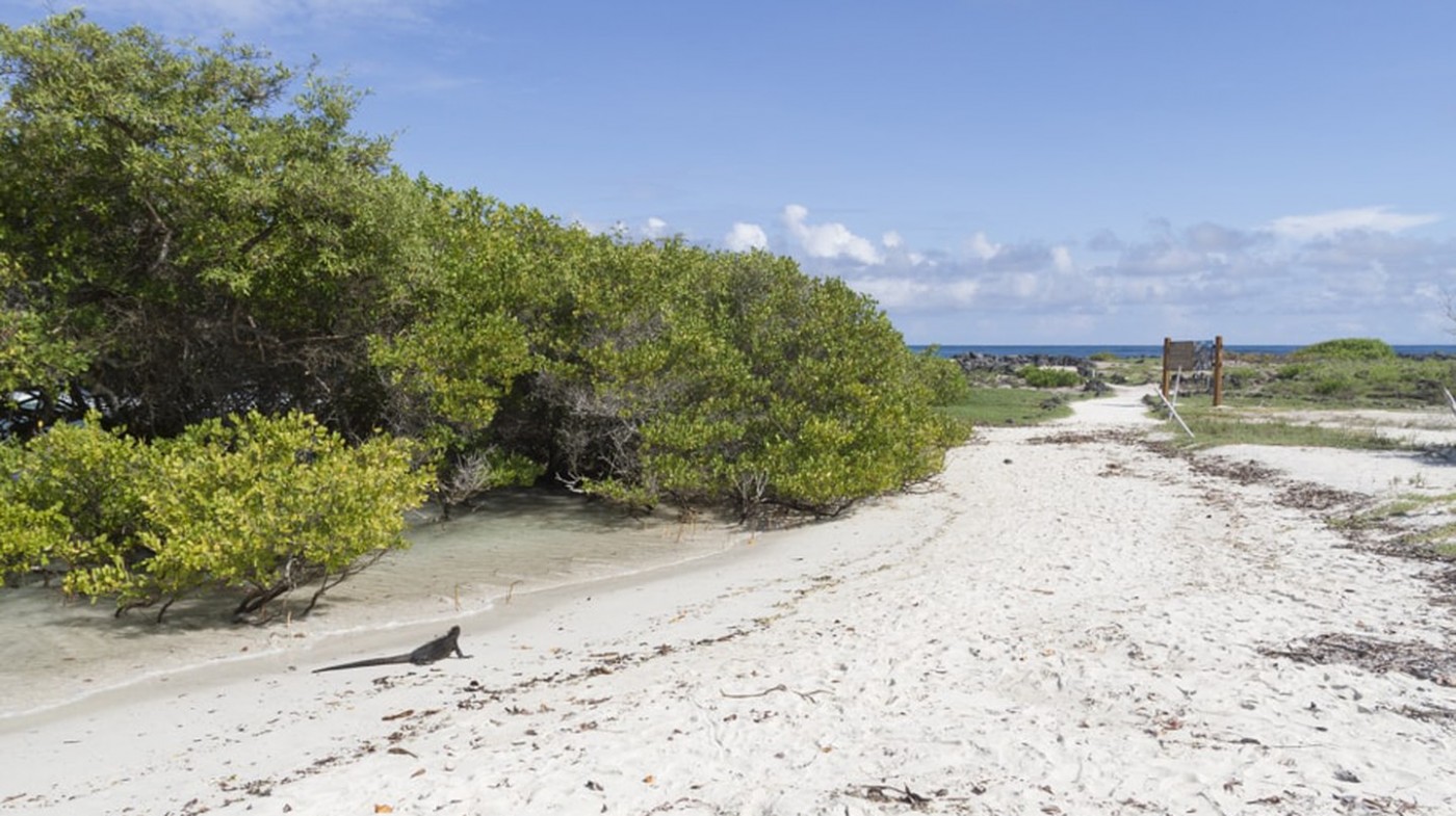8 bãi biển đẹp nhất ở quần đảo Galapagos