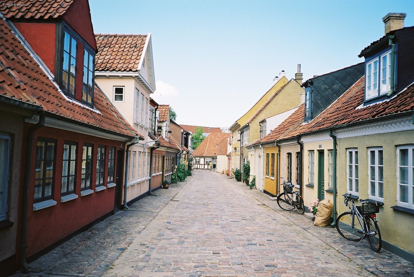  Odense, Đan Mạch   |   