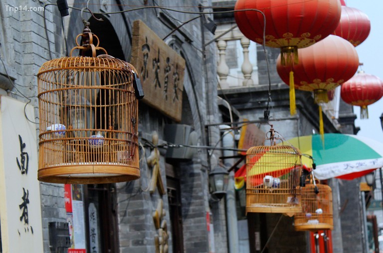 Lồng chim truyền thống trong các con hẻm hutong, Bắc Kinh, Trung Quốc - Trip14.com