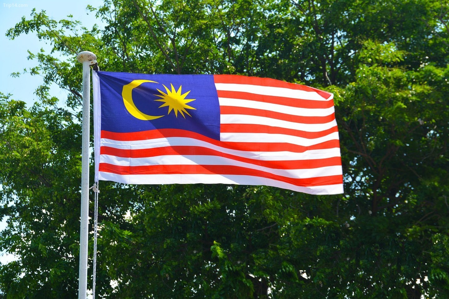  Bốn màu trên quốc kỳ Malaysia   |   