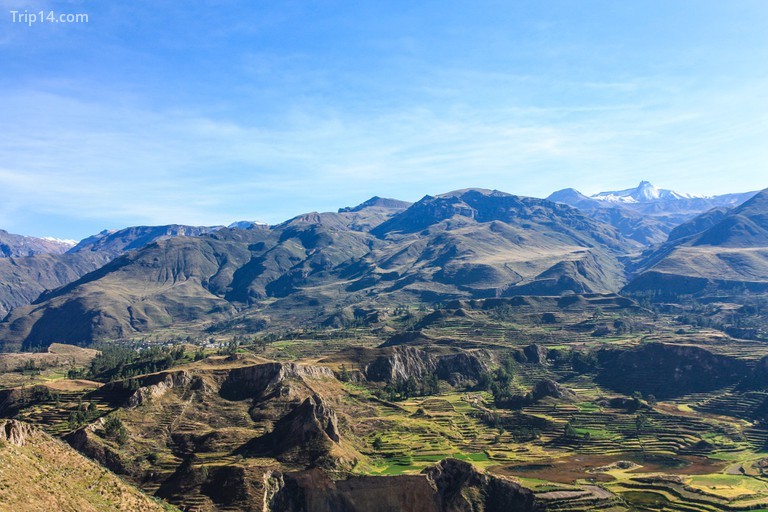 Hẻm núi Colca gần Arequipa, Peru 