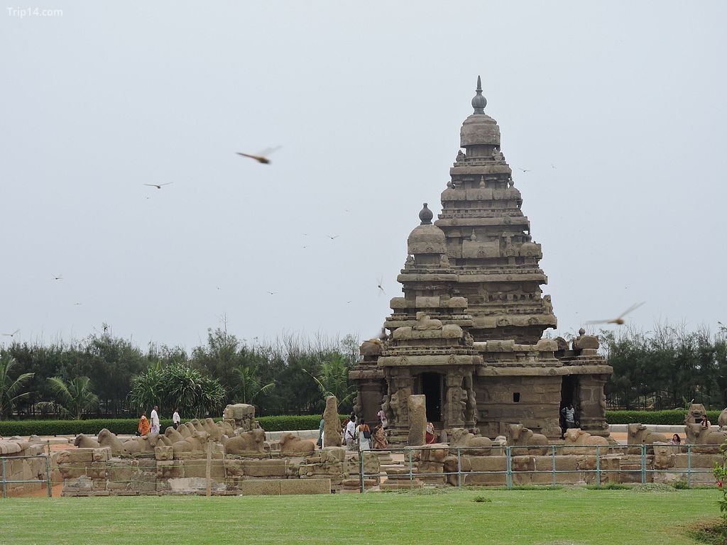 Đền Mahabalipuram, Tamil Nadu - Trip14.com