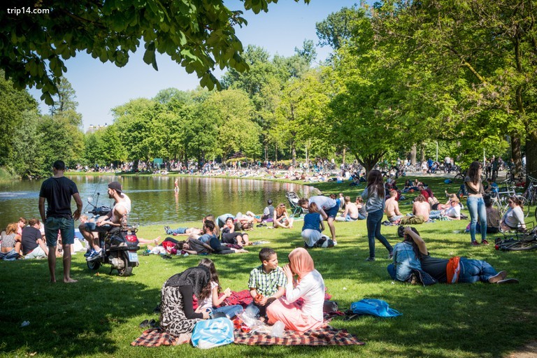 Người dân tắm nắng ở Vondelpark, Amsterdam.