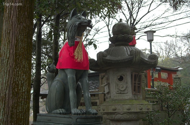 Tượng cáo ở Fushimi Inari Taisha