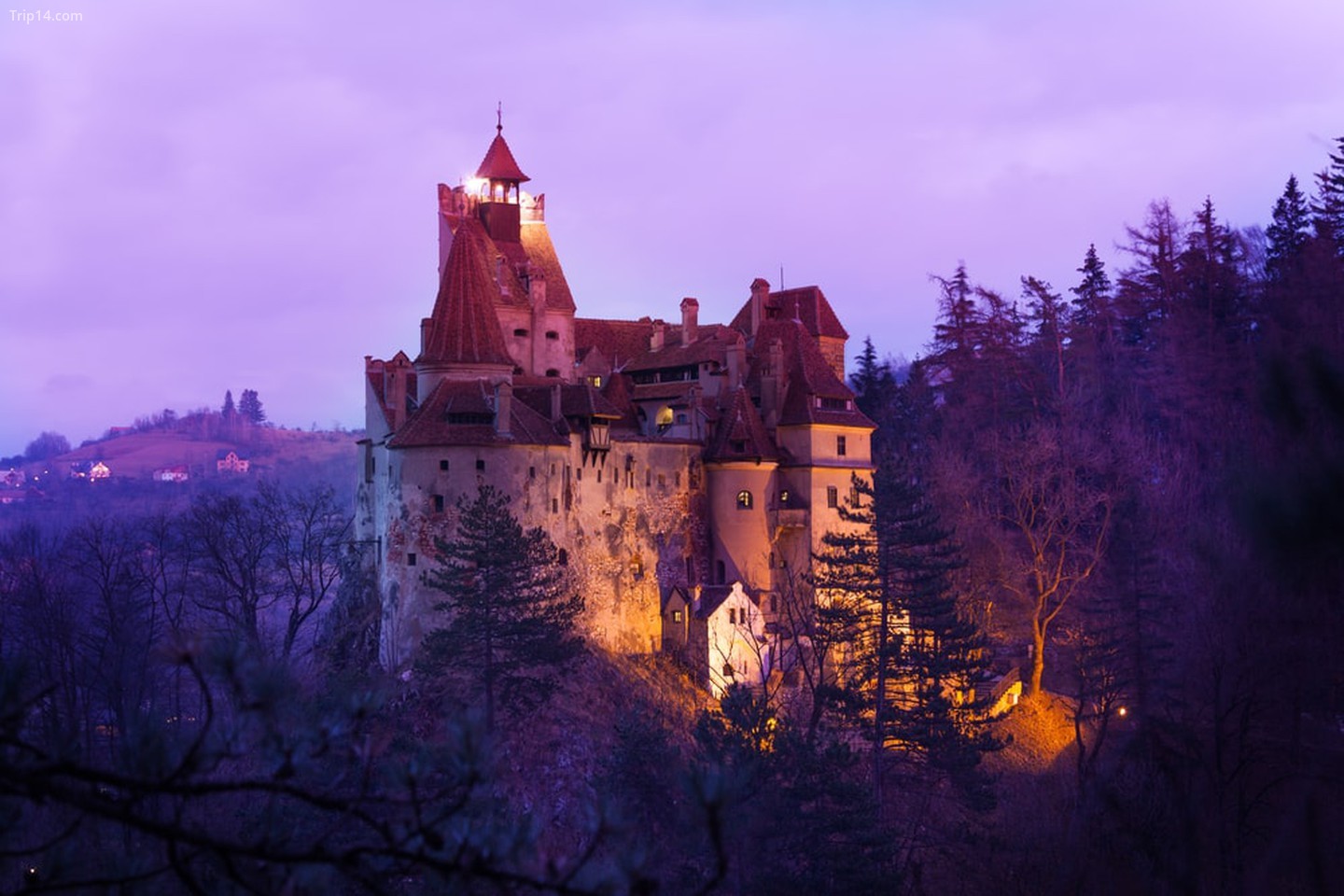 Lâu đài Dracula, Romania